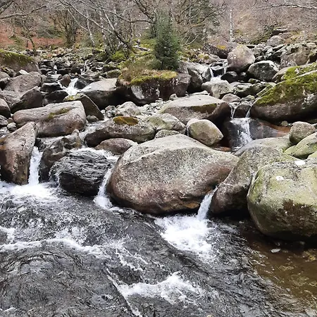 Relooke Le Grand Tetras 2 Etoiles Appartement *